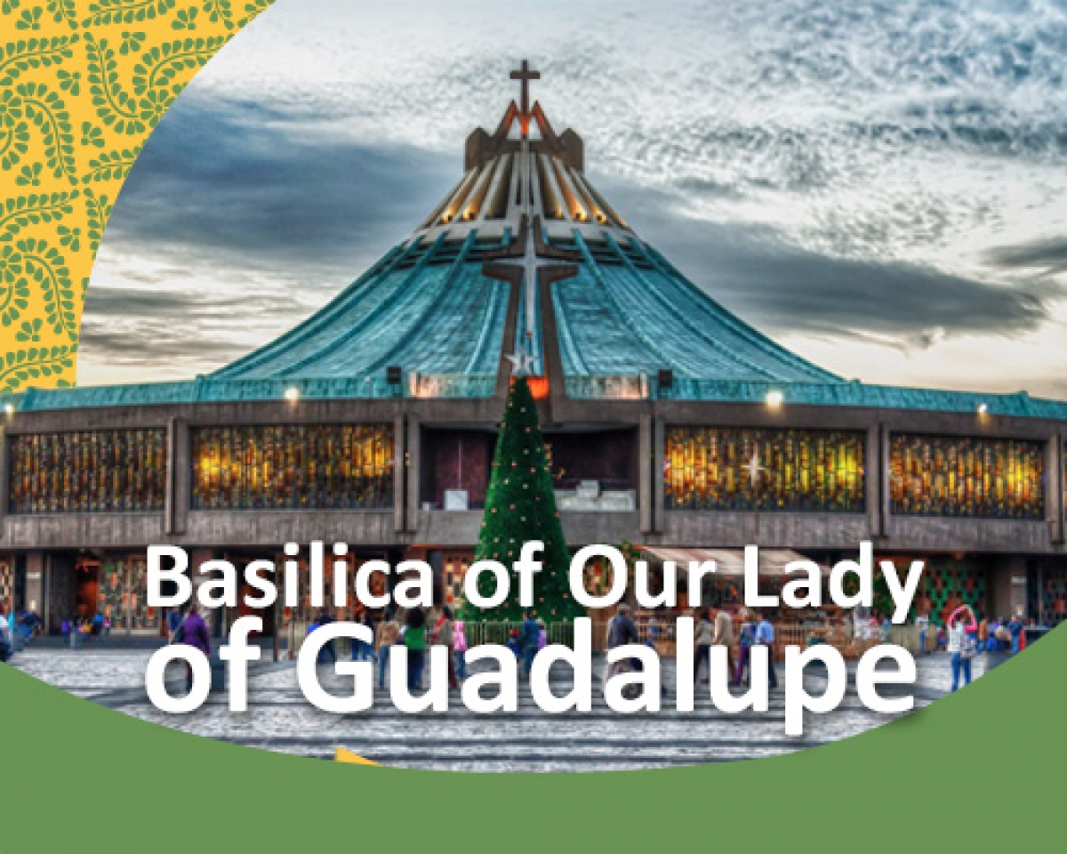 Basilica of Our Lady of Guadalupe